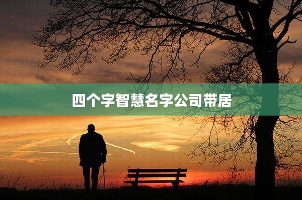 四个字智慧名字公司带居