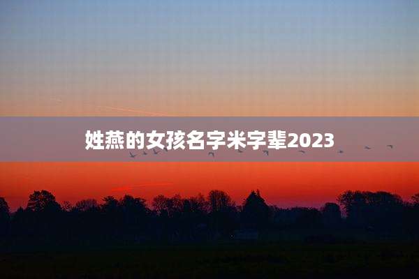 姓燕的女孩名字米字辈2023