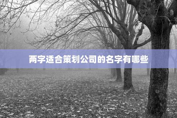 两字适合策划公司的名字有哪些