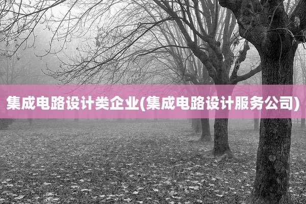 集成电路设计类企业(集成电路设计服务公司)