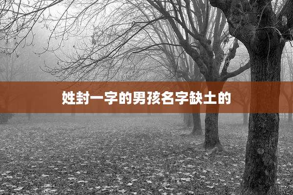 姓封一字的男孩名字缺土的