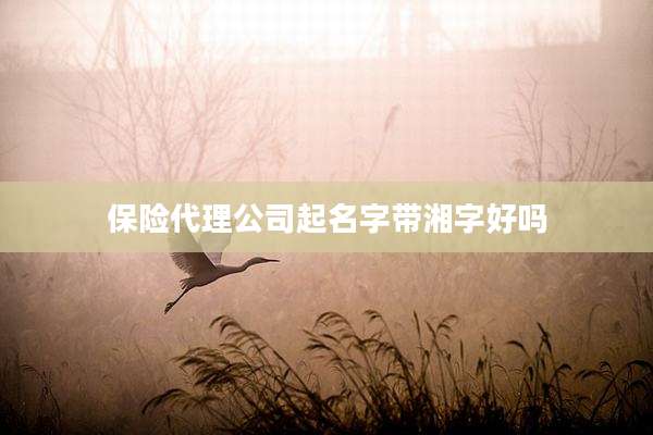 保险代理公司起名字带湘字好吗