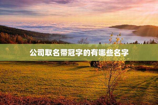 公司取名带冠字的有哪些名字