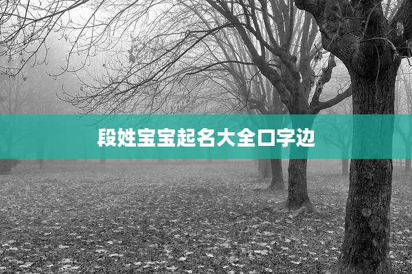 段姓宝宝起名大全口字边