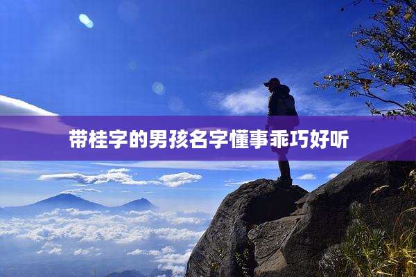 带桂字的男孩名字懂事乖巧好听