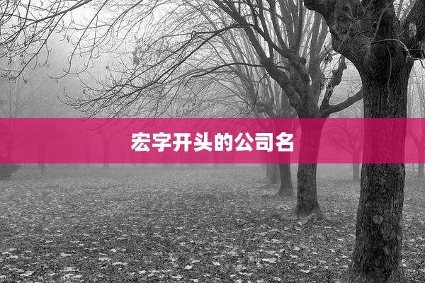 宏字开头的公司名