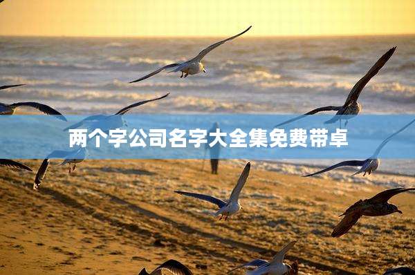 两个字公司名字大全集免费带卓