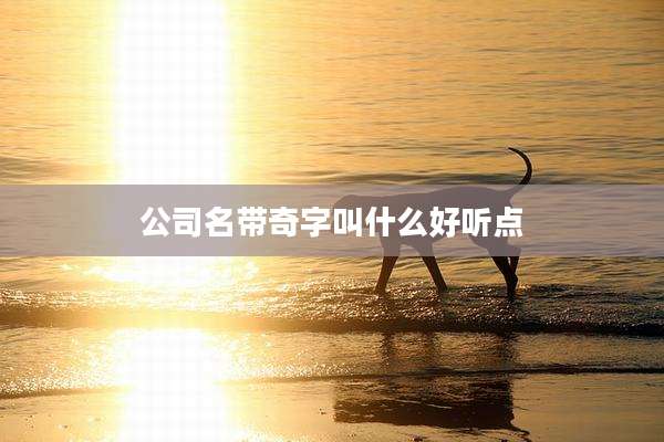 公司名带奇字叫什么好听点