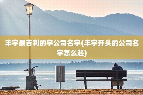 丰字最吉利的字公司名字(丰字开头的公司名字怎么起)