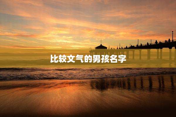 比较文气的男孩名字
