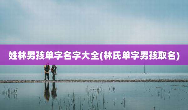 姓林男孩单字名字大全(林氏单字男孩取名)