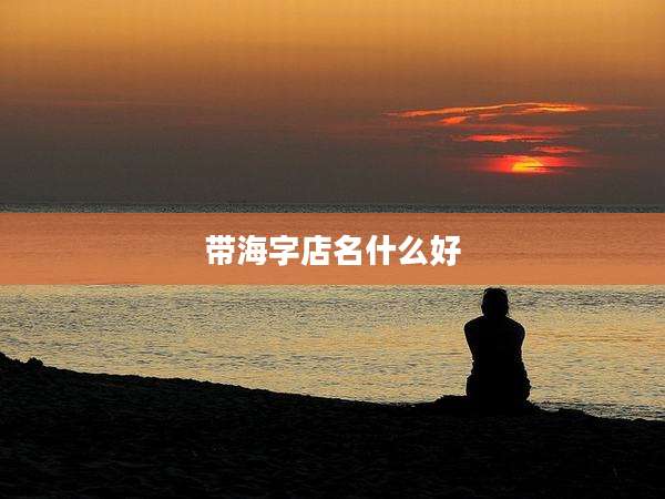 带海字店名什么好