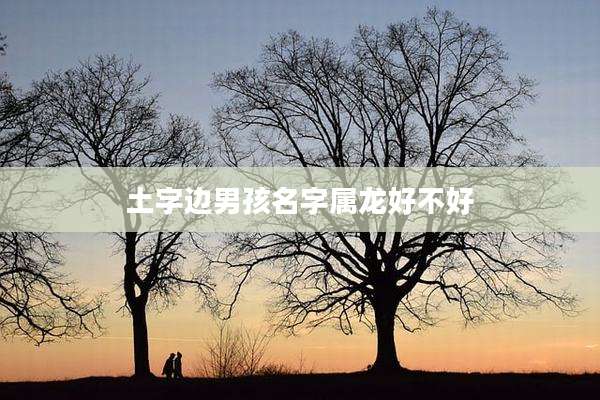 土字边男孩名字属龙好不好