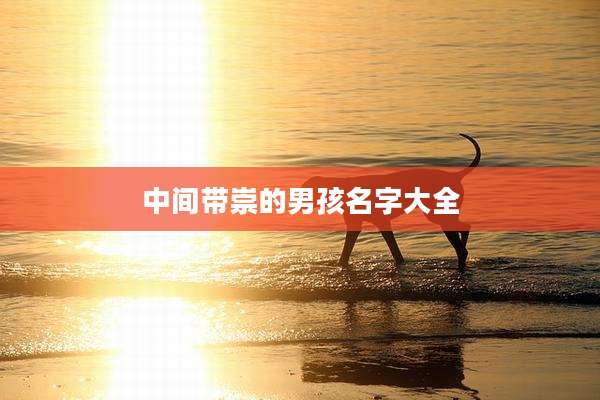 中间带崇的男孩名字大全