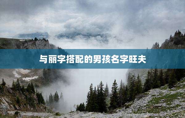 与丽字搭配的男孩名字旺夫