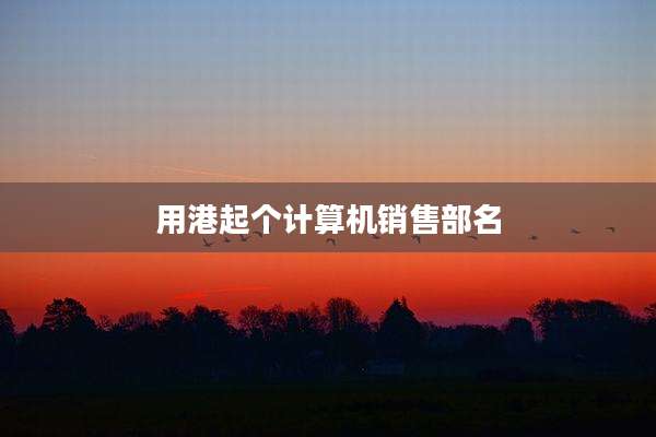 用港起个计算机销售部名