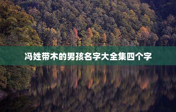冯姓带木的男孩名字大全集四个字