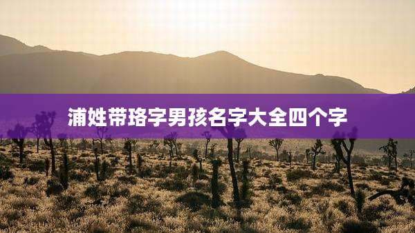 浦姓带珞字男孩名字大全四个字