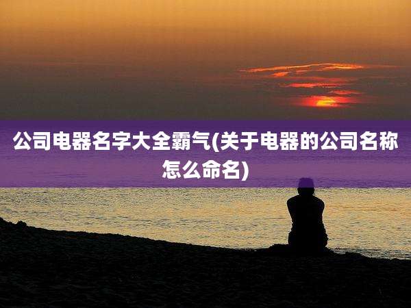 公司电器名字大全霸气(关于电器的公司名称怎么命名)