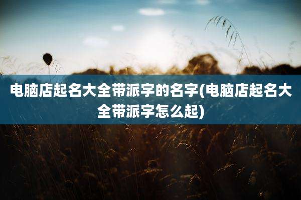 电脑店起名大全带派字的名字(电脑店起名大全带派字怎么起)