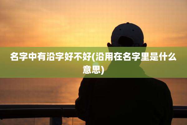 名字中有沿字好不好(沿用在名字里是什么意思)
