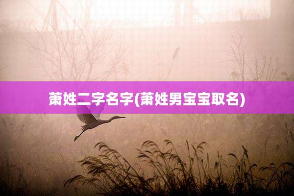 萧姓二字名字(萧姓男宝宝取名)