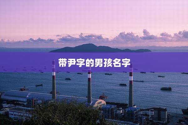 带尹字的男孩名字