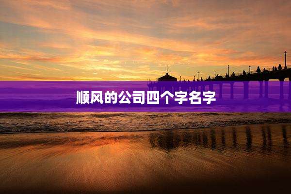 顺风的公司四个字名字