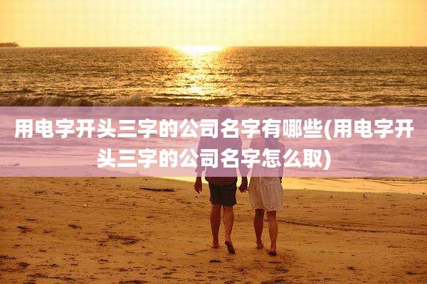 用电字开头三字的公司名字有哪些(用电字开头三字的公司名字怎么取)