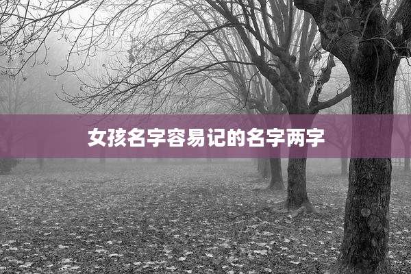 女孩名字容易记的名字两字