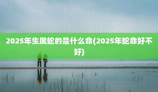 2025年生属蛇的是什么命(2025年蛇命好不好)