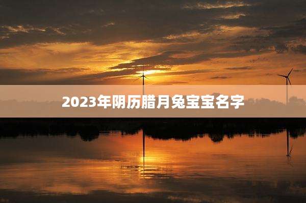 2023年阴历腊月兔宝宝名字