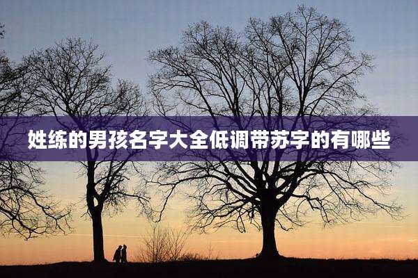 姓练的男孩名字大全低调带苏字的有哪些