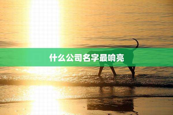 什么公司名字最响亮