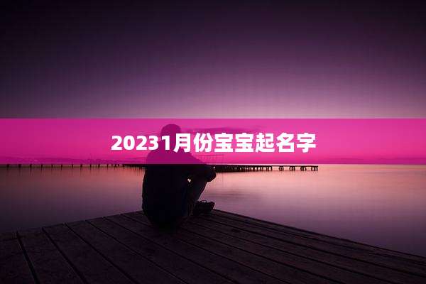 20231月份宝宝起名字
