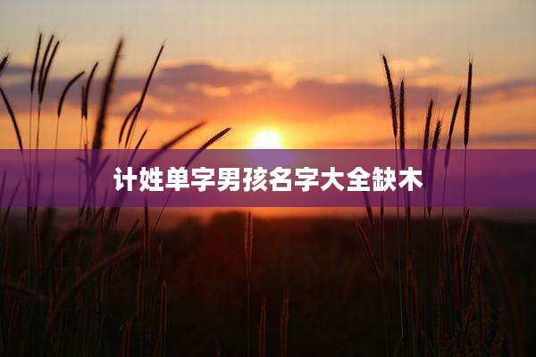 计姓单字男孩名字大全缺木
