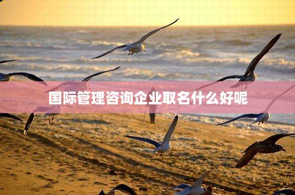 国际管理咨询企业取名什么好呢