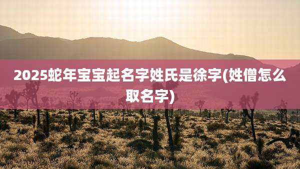 2025蛇年宝宝起名字姓氏是徐字(姓僧怎么取名字)