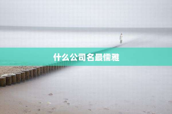 什么公司名最儒雅