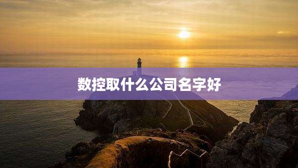 数控取什么公司名字好