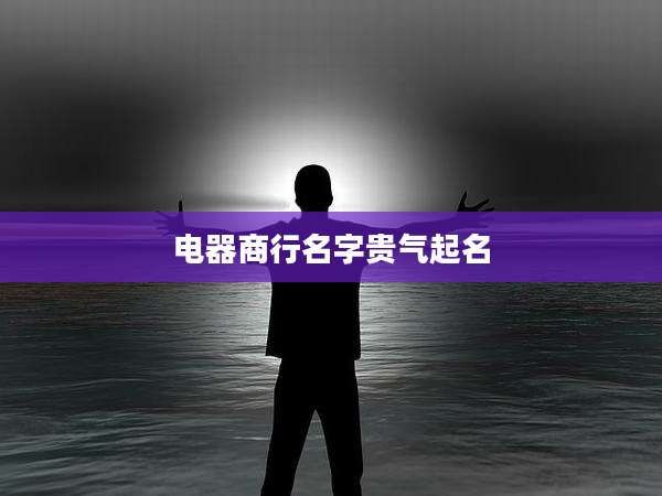 电器商行名字贵气起名
