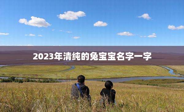 2023年清纯的兔宝宝名字一字