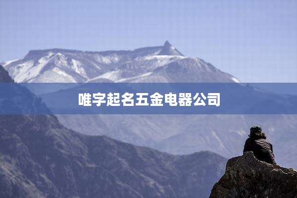 唯字起名五金电器公司
