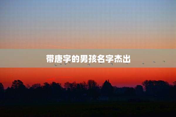 带唐字的男孩名字杰出