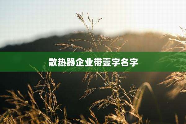 散热器企业带壹字名字