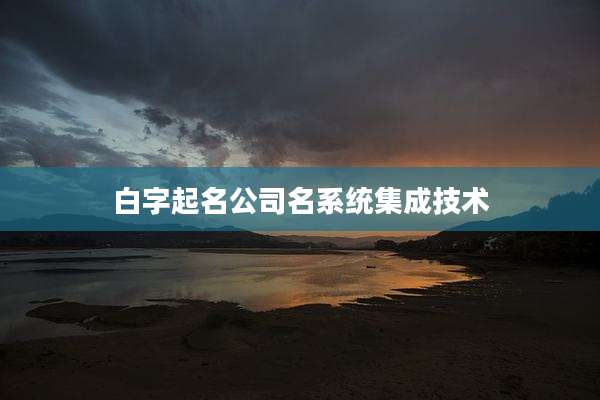 白字起名公司名系统集成技术