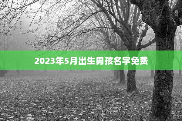 2023年5月出生男孩名字免费