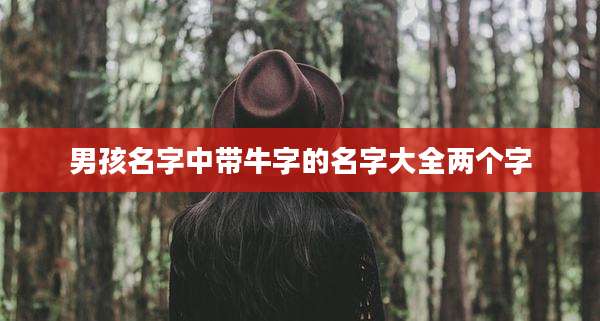 男孩名字中带牛字的名字大全两个字