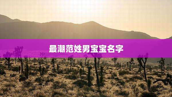 最潮范姓男宝宝名字
