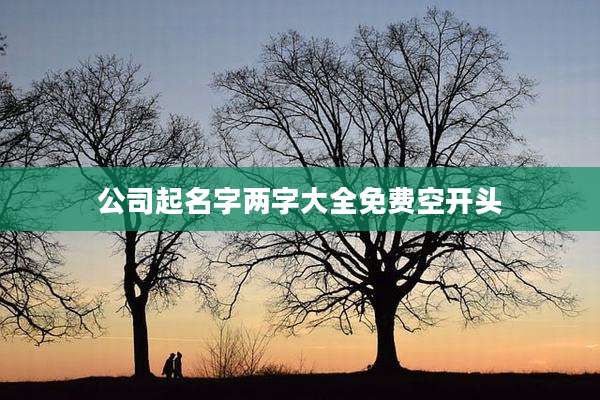 公司起名字两字大全免费空开头